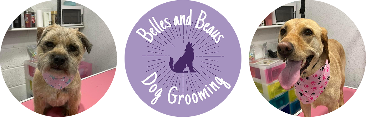 Belles Logo and Dogs